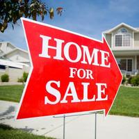 Tareq Maayta's photo'